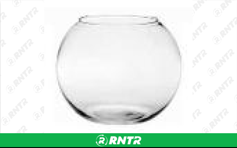 Generic 8 Diameter Bubble Bowl – For rent in Hiram, Georgia – Unlimited Party Rental | RNTR.com – Image 1 of 1