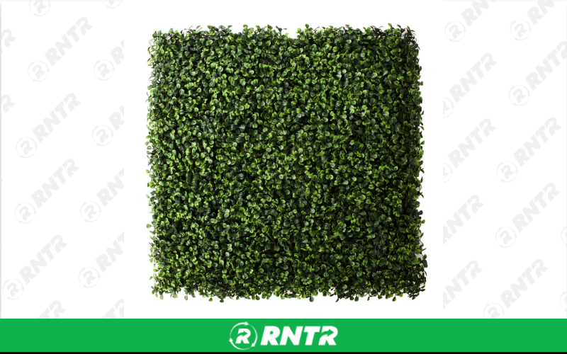 Generic Boxwood Decor Wall - 7' x 8' – For rent in Hiram, Georgia – Unlimited Party Rental | RNTR.com – Image 1 of 1