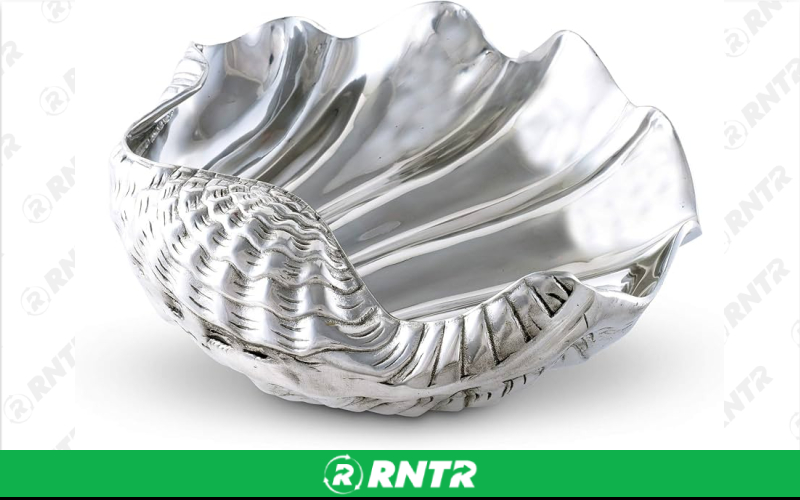 Generic Conch Shell Serving Dish – For rent in Hiram, Georgia – Unlimited Party Rental | RNTR.com – Image 1