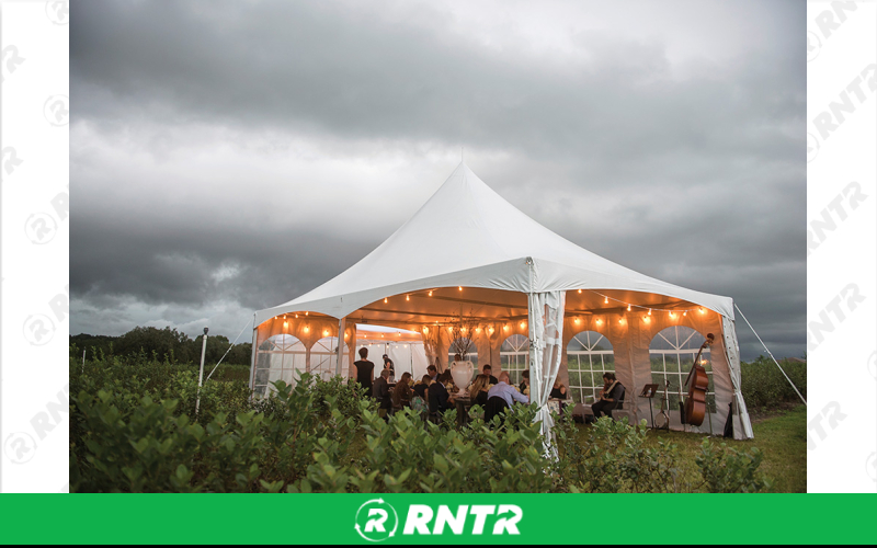 Summer Exclusive 20'x30' Summer BBQ Special – For rent in Lakeland, Florida – Premier Parties, LLC | RNTR.com – Image 3 of 3