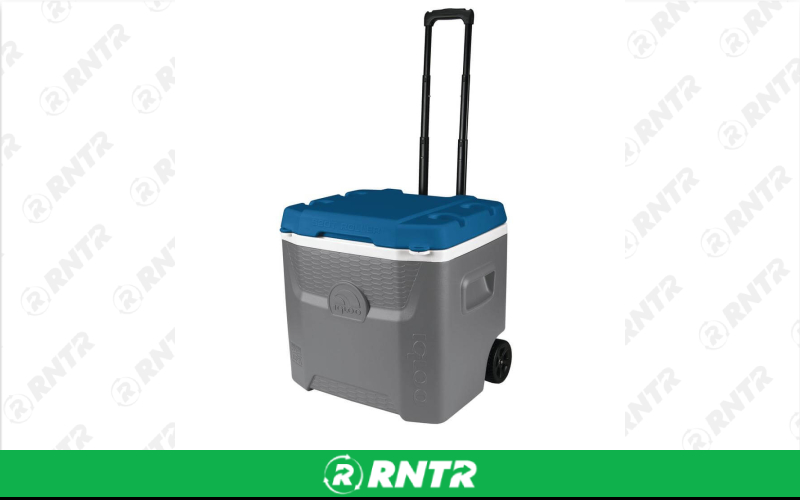 Cooler Cooler-Large – For rent in saint-augustine, florida – Big Bill\'s Beach Stuff | RNTR.com – Image 1