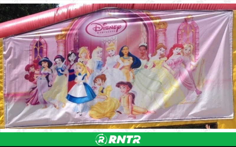 Generic Disney Princesses Super Combo 20x19 – For rent in howell, new-jersey – Mr. Happy Party Rentals | RNTR.com – Image 1