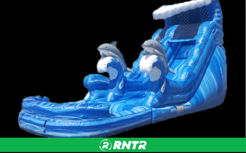 Generic Dolphin Cove – For rent in chattanooga, tennessee – Edgeway Events | RNTR.com – Image 1