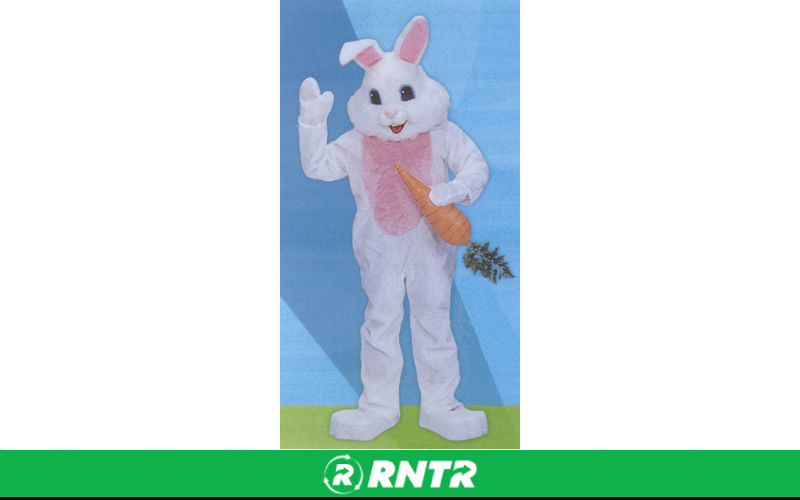 Generic EASTER BUNNY - COSTUME – For rent in bayonne, new-jersey – Resnicks Party Rental | RNTR.com – Image 1