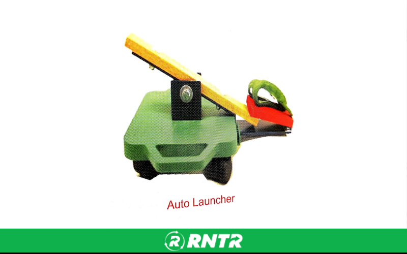 Generic GAMES- LEAP FROG W/ 6 FROGS-HAMMER – For rent in bayonne, new-jersey – Resnicks Party Rental | RNTR.com – Image 1