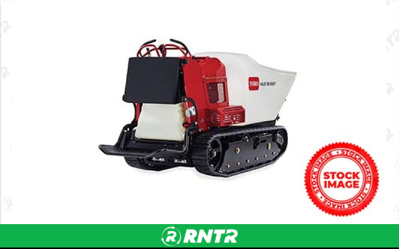 Generic Georgia Buggy – For rent in eatontown, new-jersey – Semcore Rental Center | RNTR.com – Image 1