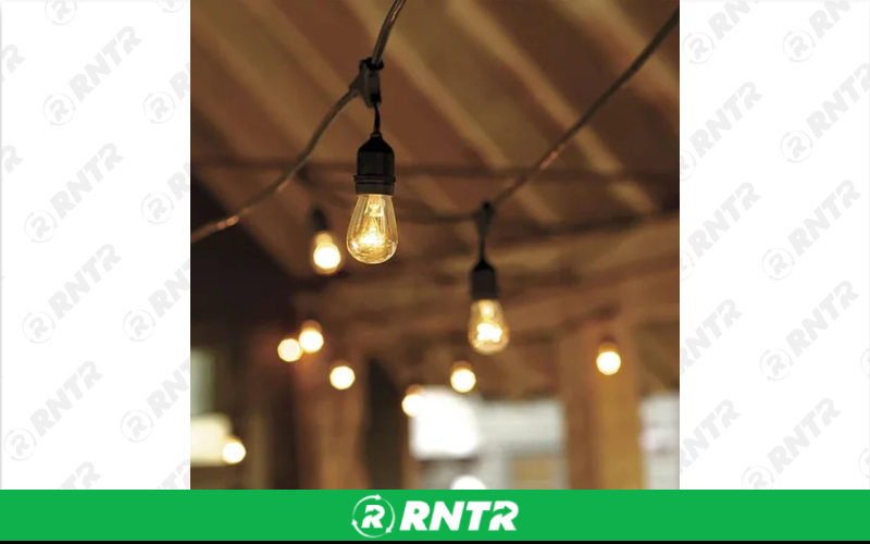 Generic Italian Lights - 50ft String – For rent in hermitage, tennessee – Chief Rental Inc. | RNTR.com – Image 1