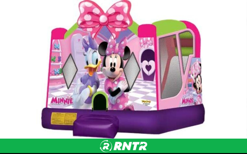 Generic Minnie Mouse Combo – For rent in chattanooga, tennessee – Edgeway Events | RNTR.com – Image 1