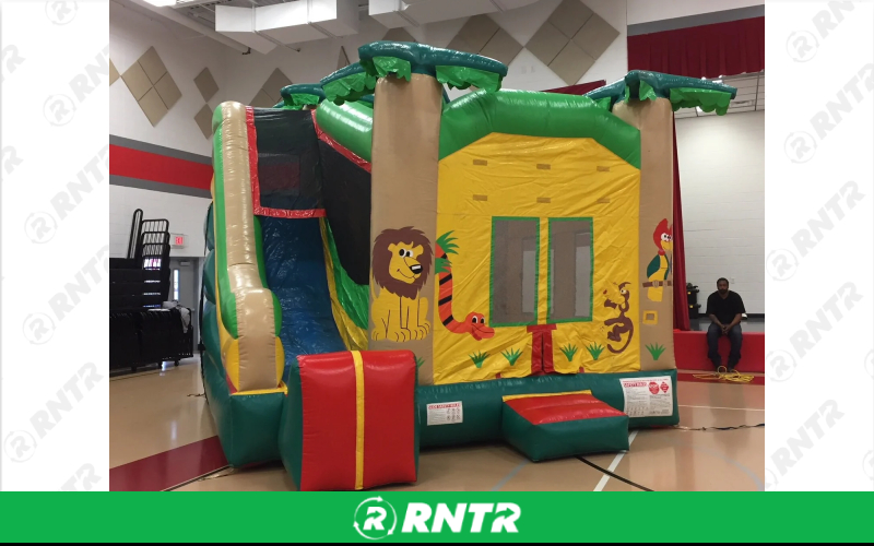 N-Flatables Palm Tree Combo Inflatable – For rent in hermitage, tennessee – Chief Rental Inc. | RNTR.com – Image 1