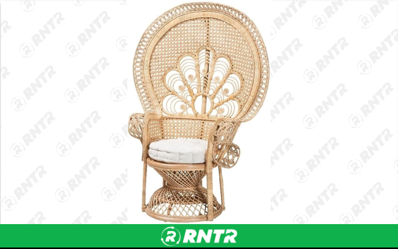 Generic Peacock Baby Shower Chair – For rent in Lilburn, Georgia – JVC's Party Rentals & Event Hall | RNTR.com – Image 2 of 2