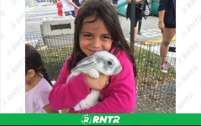 Generic Petting Zoo – For rent in hallandale-beach, florida – Perfect Party Rental | RNTR.com – Image 1