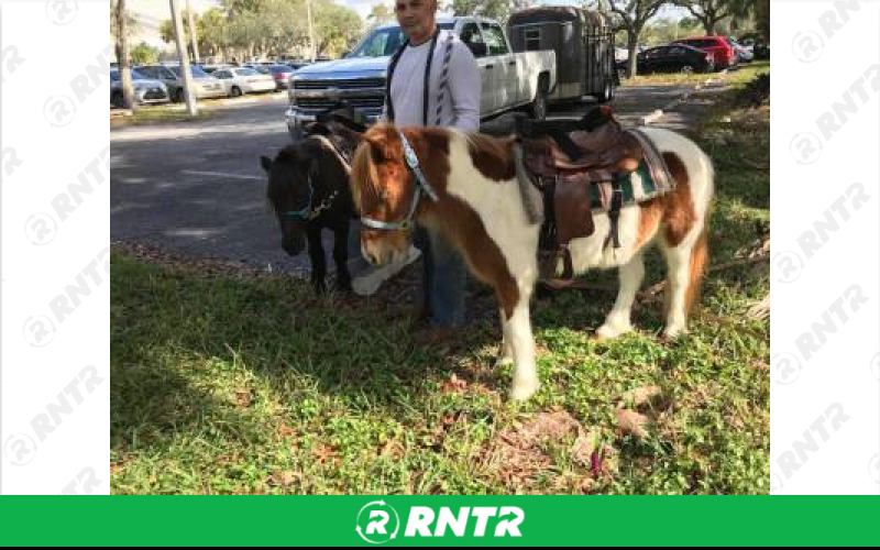 Generic Pony Rides – For rent in hallandale-beach, florida – Perfect Party Rental | RNTR.com – Image 1