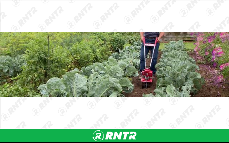 Generic TILLER - MINI 9in MANTIS 7920 – For rent in Burnet, Texas – Minuteman Rentals | RNTR.com – Image 2 of 2