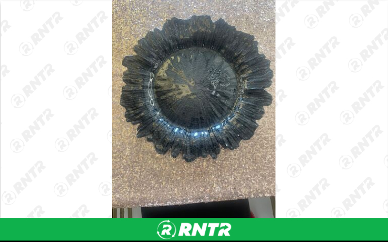 Generic Black Reef Glass Charger – For rent in dacula, georgia – CrimsonTLC | RNTR.com – Image 1