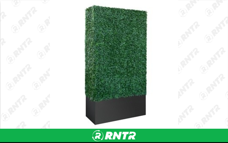 Generic Boxwood Hedge – For rent in south-hackensack, new-jersey – Rentastic Party Rental | RNTR.com – Image 1