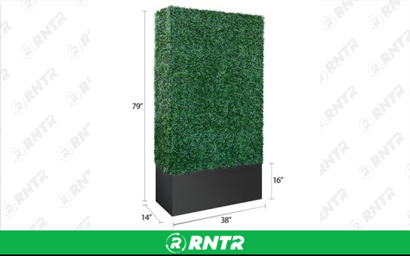 Generic Boxwood Hedge – For rent in South Hackensack, New Jersey – Rentastic Party Rental | RNTR.com – Image 2 of 2