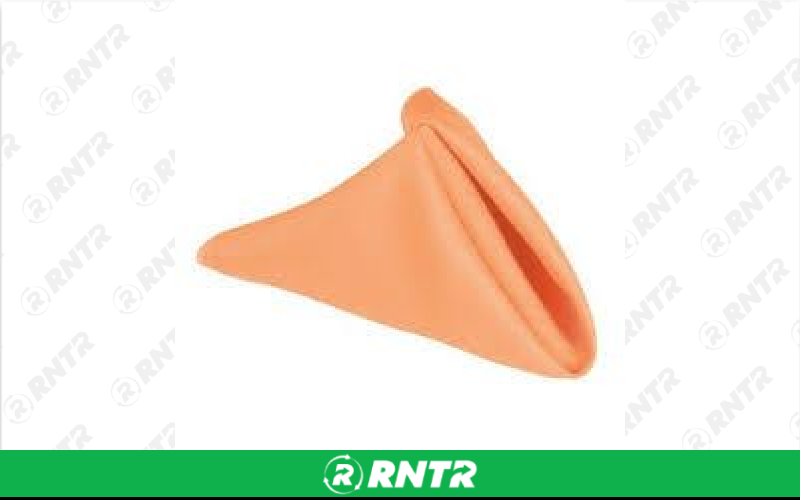 Generic Napkins - Peach – For rent in fort-madison, iowa – Complete Rental | RNTR.com – Image 1