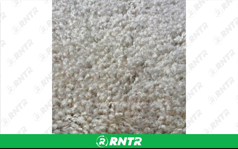 Generic Off White 12' x 24' Lux Carpet – For rent in indianapolis, indiana – Ace Party Rental | RNTR.com – Image 1
