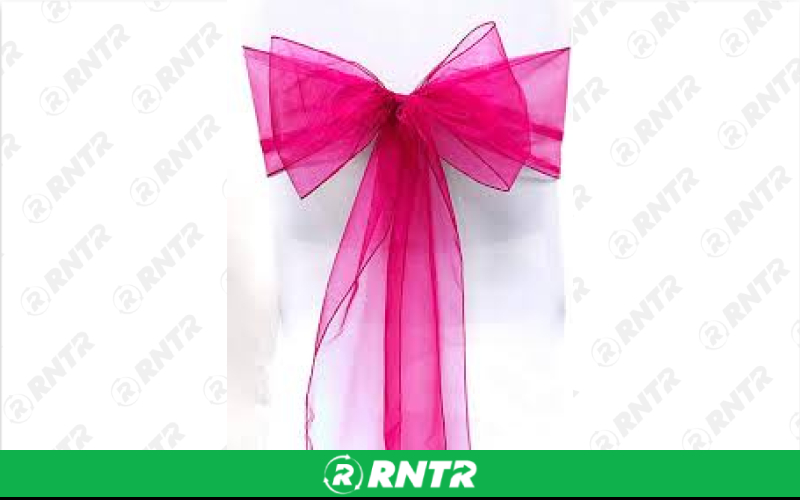 Generic Organza Sash (Barbie Pink) – For rent in indianapolis, indiana – Ace Party Rental | RNTR.com – Image 1