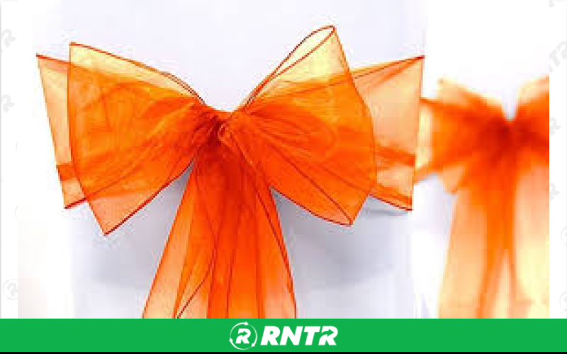Generic Organza Sash (Bright Orange) – For rent in indianapolis, indiana – Ace Party Rental | RNTR.com – Image 1