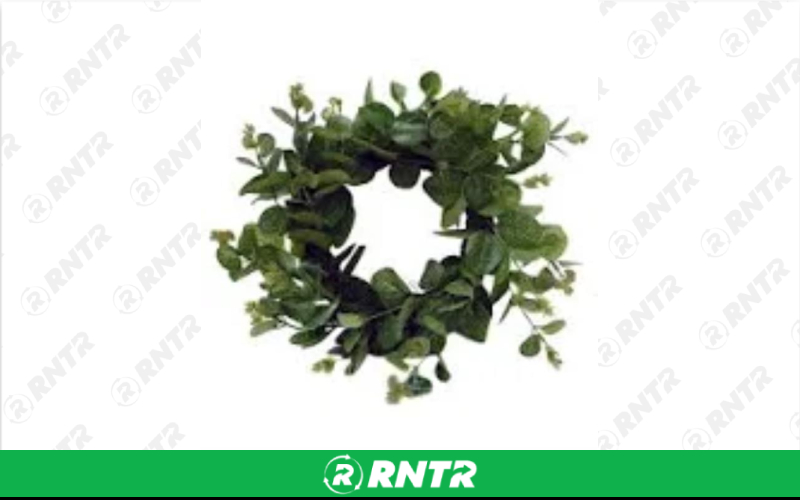 Generic Small Artificial Eucalyptus Wreath – For rent in fort-madison, iowa – Complete Rental | RNTR.com – Image 1