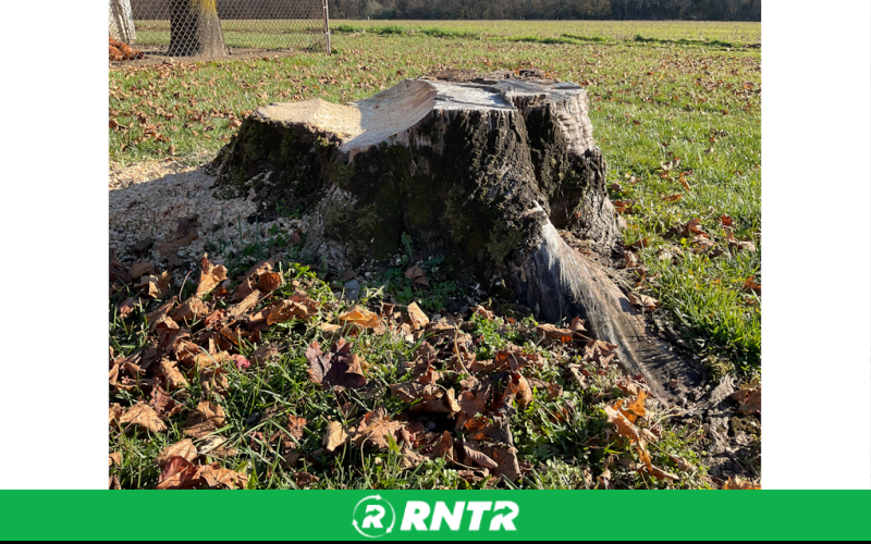 Toro Stump Grinder - 2022 Toro STX38 (#31) – For rent in bridgeton, new-jersey – South Jersey Equipment Rentals, LLC | RNTR.com – Image 1