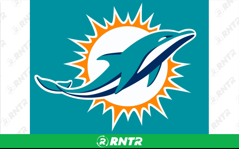 Generic 4 in 1  3D Dolphins Combo – For rent in Pompano Beach, Florida – South Florida Bounce | RNTR.com – Image 2 of 3