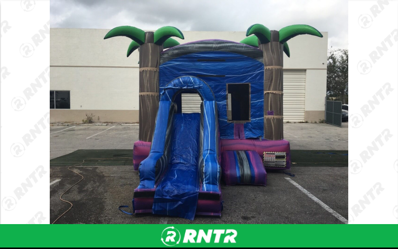 Generic 4 in 1 Mini Grape Combo – For rent in pompano-beach, florida – South Florida Bounce | RNTR.com – Image 1