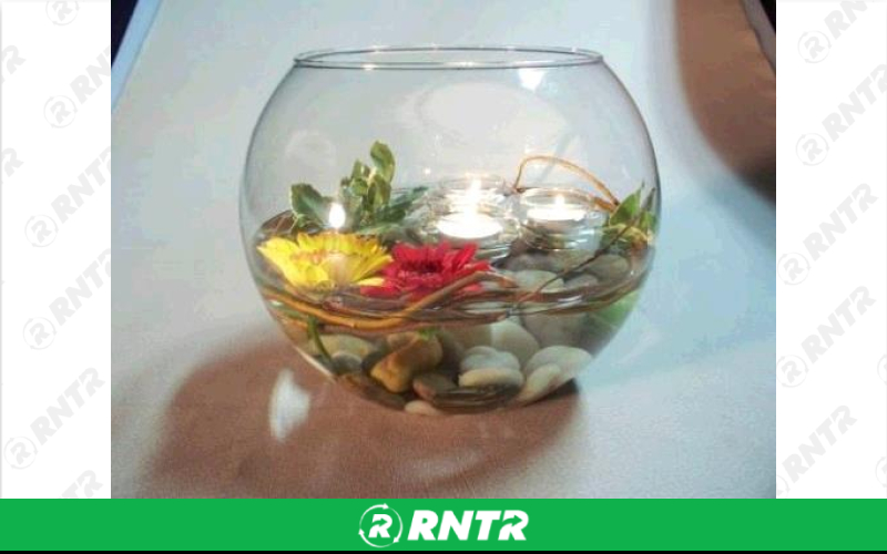 Generic BUBBLE BOWL - 10 – For rent in lafayette, indiana – Midwest Rentals Inc  | RNTR.com – Image 1