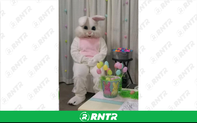 Generic BUNNY - EASTER DELUX – For rent in lafayette, indiana – Midwest Rentals Inc  | RNTR.com – Image 1