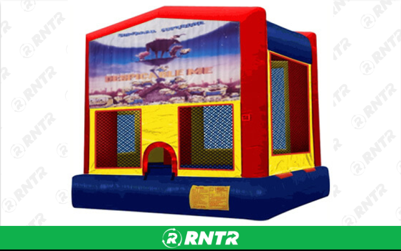 Generic Despicable Me Banner – For rent in pompano-beach, florida – South Florida Bounce | RNTR.com – Image 1