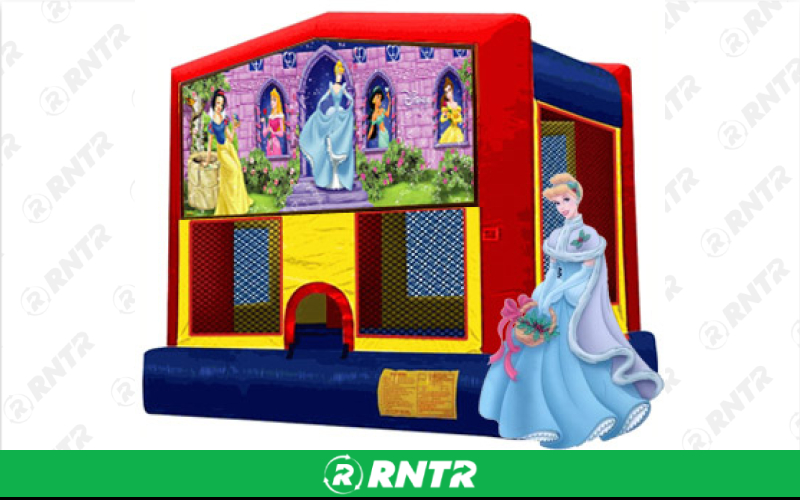 Generic Disney Princess Banner – For rent in pompano-beach, florida – South Florida Bounce | RNTR.com – Image 1