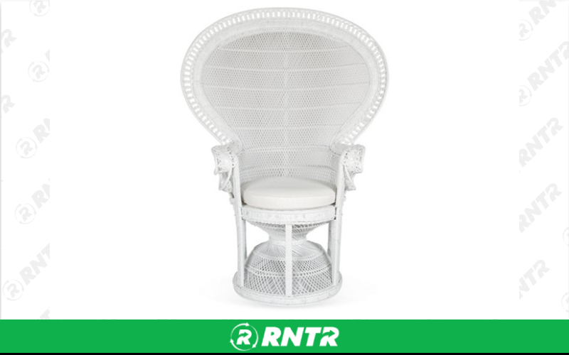 Generic Large Fan Back Chair – For rent in york, pennsylvania – A and R Rental | RNTR.com – Image 1