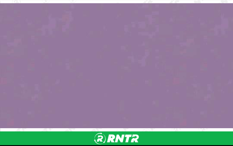 Generic RUNNER - AMETHYST – For rent in Lafayette, Indiana – Midwest Rentals Inc | RNTR.com – Image 1 of 1