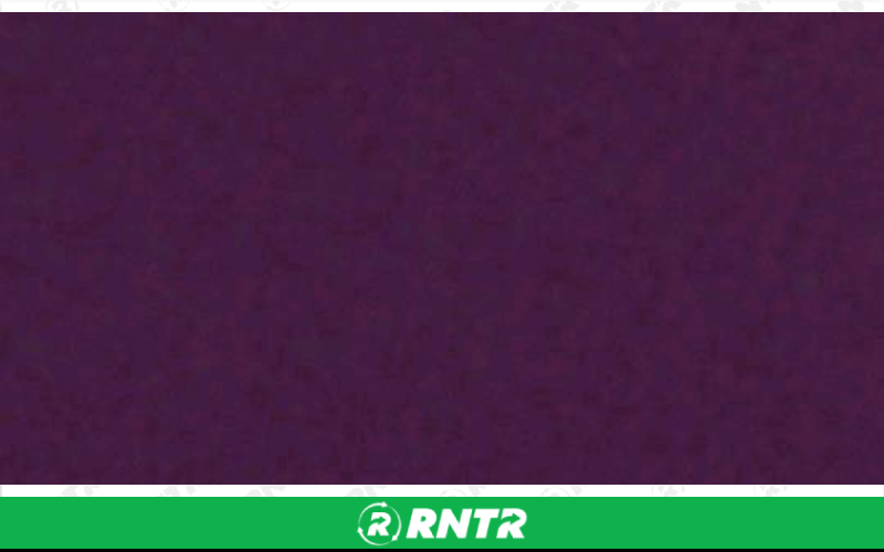 Generic RUNNER - EGGPLANT – For rent in Lafayette, Indiana – Midwest Rentals Inc | RNTR.com – Image 1 of 1