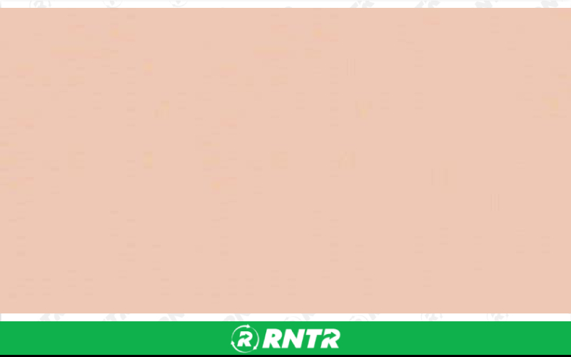 Generic RUNNER - PEACH – For rent in Lafayette, Indiana – Midwest Rentals Inc | RNTR.com – Image 1 of 1