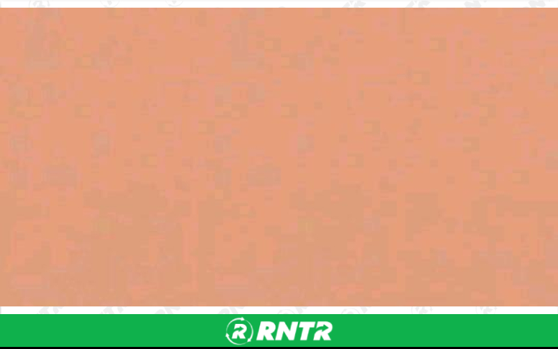 Generic RUNNER - SHERBET – For rent in Lafayette, Indiana – Midwest Rentals Inc | RNTR.com – Image 1 of 1