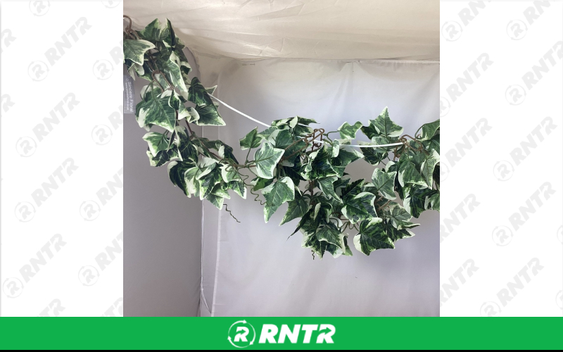 Generic GARLAND IVY 9' LARGE LEAF – For rent in uniontown, pennsylvania – Fayette Rental Solutions | RNTR.com – Image 1