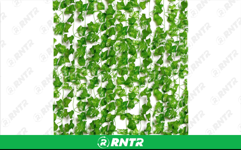 Generic GARLAND IVY 9' SMALL LEAF – For rent in uniontown, pennsylvania – Fayette Rental Solutions | RNTR.com – Image 1