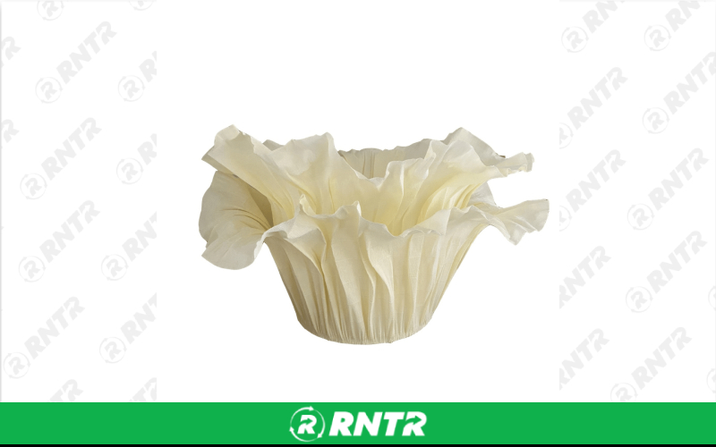 Generic WISHING WELL IVORY CARDHOLDER – For rent in uniontown, pennsylvania – Fayette Rental Solutions | RNTR.com – Image 1