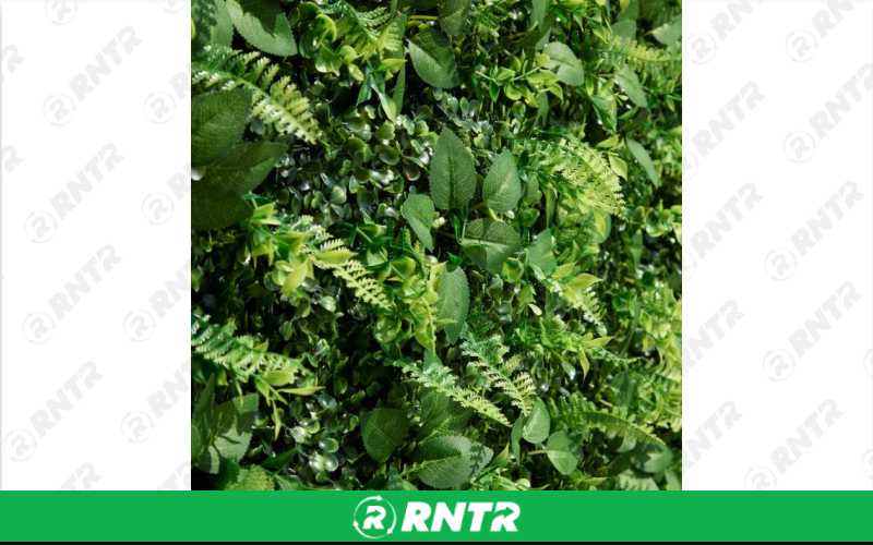 Generic 8'W X 8' TALL GRASS WALL BACKDROP – For rent in Mount Airy, North Carolina – Cooke Rentals MA | RNTR.com – Image 1 of 3