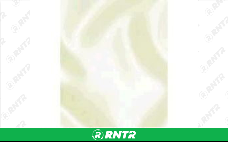 Generic 90x132 IVORY SATIN-601 – For rent in Mount Airy, North Carolina – Cooke Rentals MA | RNTR.com – Image 1 of 1