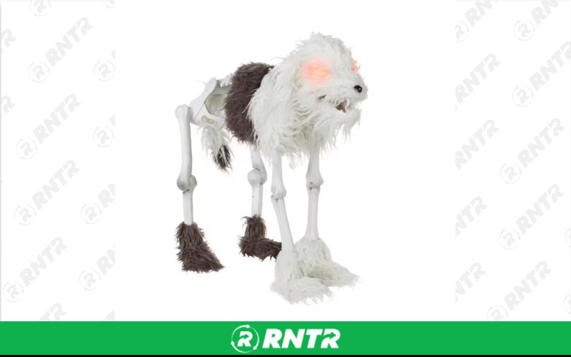 Generic Animated Skeleton Dog - 2.5′ – For rent in Portland, Oregon – Peter Corvallis Productions | RNTR.com – Image 1