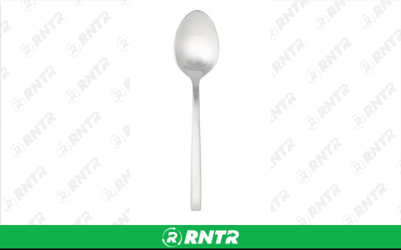 Generic AREZZO POLISHED SERVING SPOON 9.3 – For rent in Mount Airy, North Carolina – Cooke Rentals MA | RNTR.com – Image 1 of 1