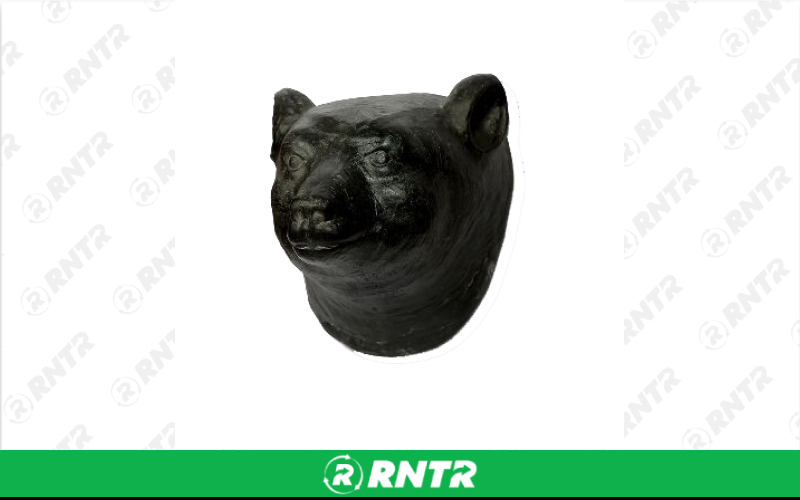 Generic Bear Head Wall Decor – For rent in Portland, Oregon – Peter Corvallis Productions | RNTR.com – Image 1