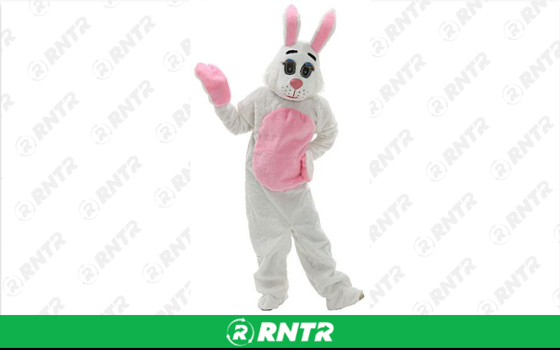 Generic BUNNY COSTUME – For rent in Mount Airy, North Carolina – Cooke Rentals MA | RNTR.com – Image 1 of 1