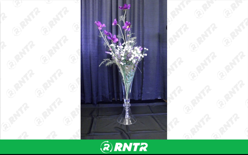 Generic CLARINET VASE 9X24 – For rent in Mount Airy, North Carolina – Cooke Rentals MA | RNTR.com – Image 1 of 1