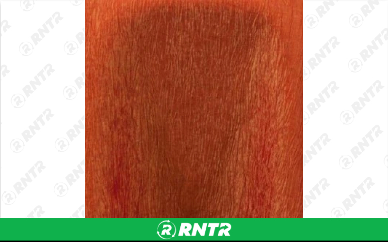 Crinkle Linen - Fire Orange - 132in Round – For rent in englewood, colorado – Allwell Rents | RNTR.com – Image 1