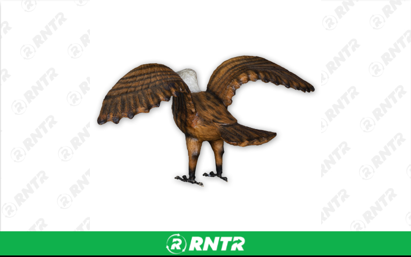 Generic Eagle Statue – For rent in Portland, Oregon – Peter Corvallis Productions | RNTR.com – Image 2 of 3