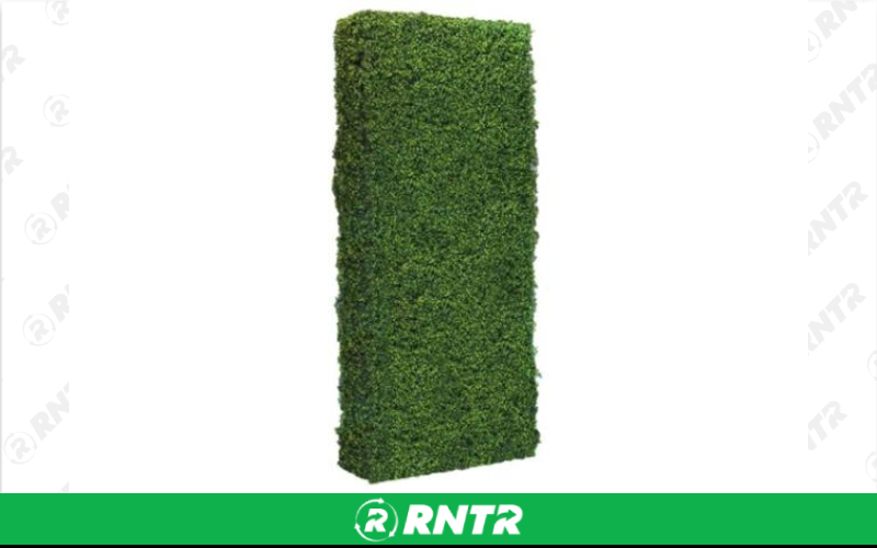 Generic HEDGE WALLING (BOXWOOD) 4' X 8' – For rent in Fresno, California – Expo Party Rentals | RNTR.com – Image 1